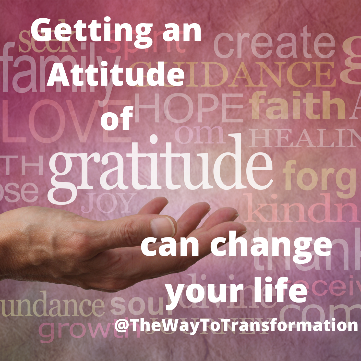Get an Attitude of Gratitude